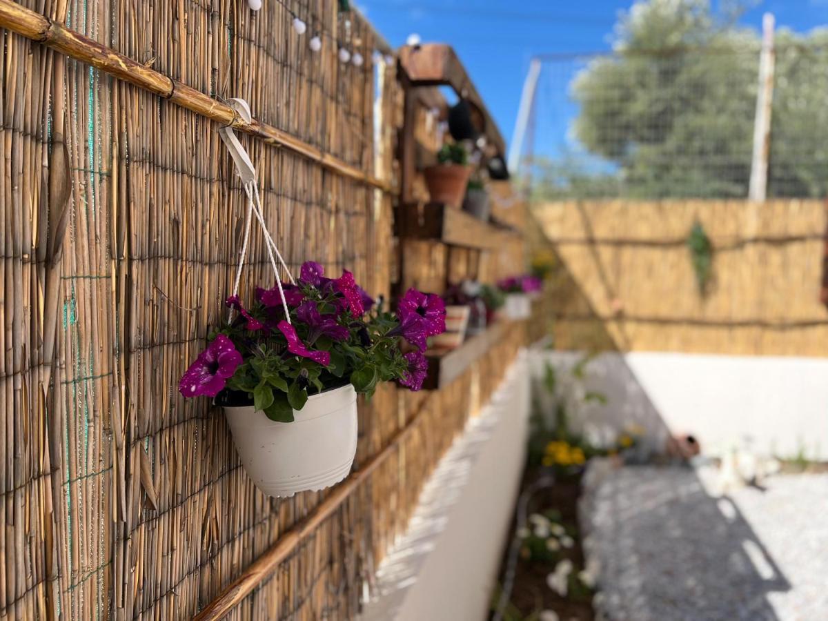 Antigoni's Cozy Private *